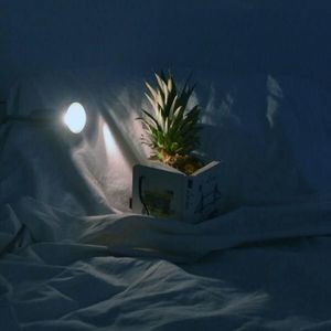 Meet your Posher, Elisa